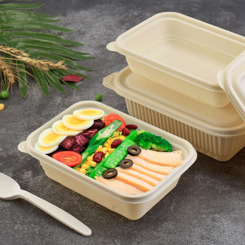 Tilpasset størrelse madkasse komposterbar engangs fastfood container til bento shop takeaway majsstivelse biologisk nedbrydeligt mad kontainer