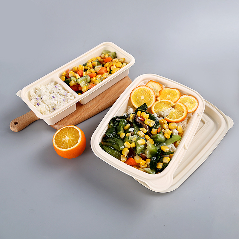 Miljøvenlig BPA gratis engangs-bento-madkasse, der tager emballage fra en bionedbrydelig fødevarebeholder